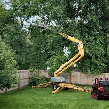 Clifton Gardens, NY Tree Services Company